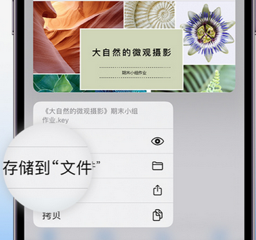 青山湖apple维修中心分享iPhone文件应用中存储和找到下载文件