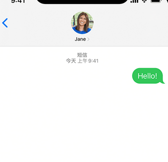 青山湖apple维修iPhone上无法正常发送iMessage信息