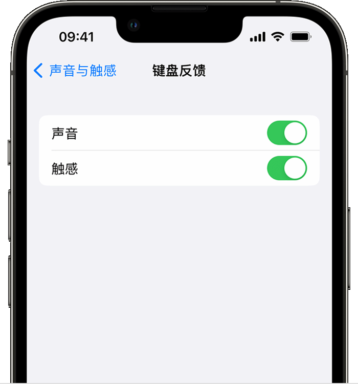 青山湖苹果14维修店分享如何在 iPhone 14 机型中使用触感键盘 