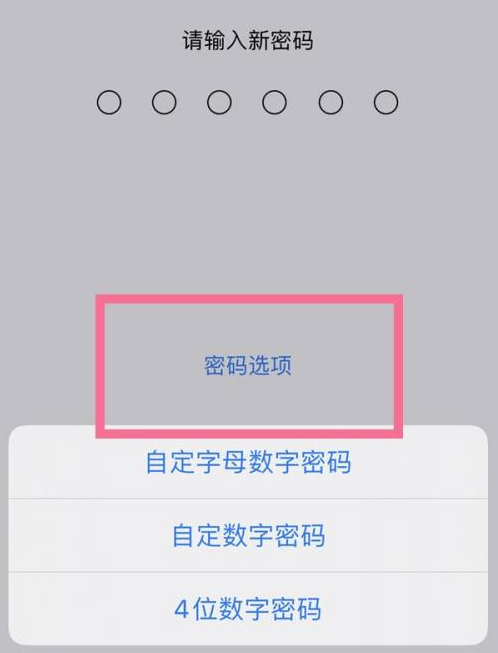 青山湖苹果14维修分享iPhone 14plus设置密码的方法 