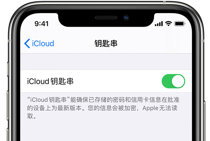 青山湖苹果手机维修分享在 iPhone 上开启 iCloud 钥匙串之后会储存哪些信息 