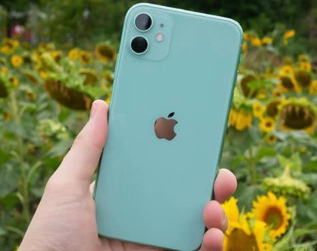青山湖苹果维修点分享iPhone 11锁屏密码认知与使用科普 